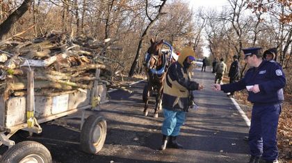 357 хванати за незаконна сеч, само 1 осъден на пробация
