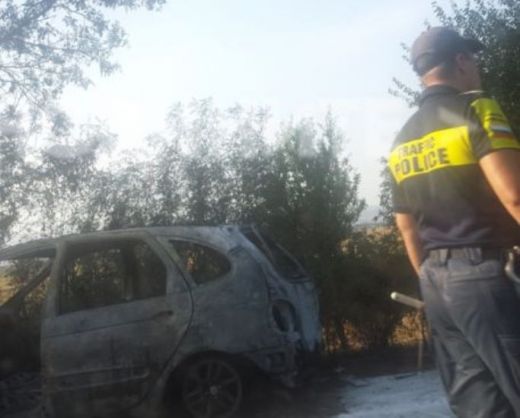 Кола се заби в дърво и пламна като факла