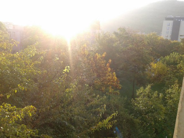 Златна есен в Пловдив днес - слънце и
20°