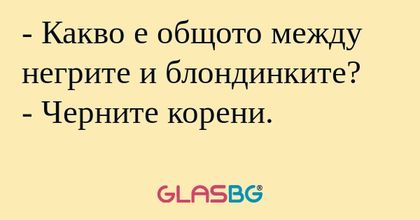 Какво е общото между негрите...