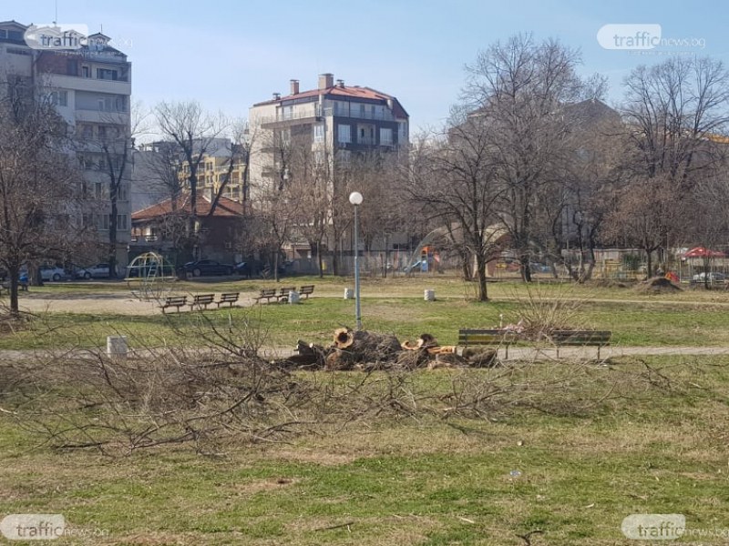 Кършияка се вдига на протест заради строеж в парк!