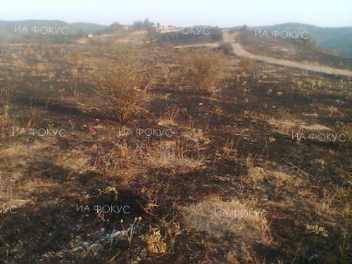 Видин: 200 декара широколистна гора са изгорели в района на село Цар Петрово