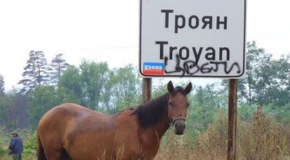Концепцията: „Срам ме е от българите”.