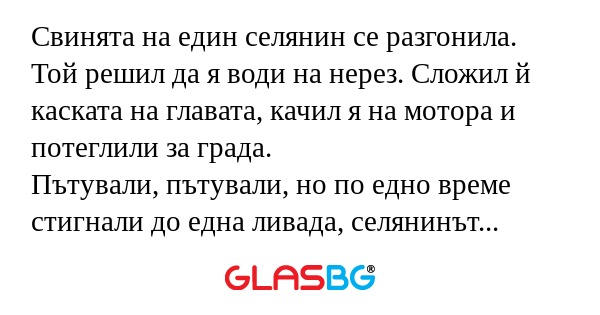 Свинята на един селянин се разгонила...