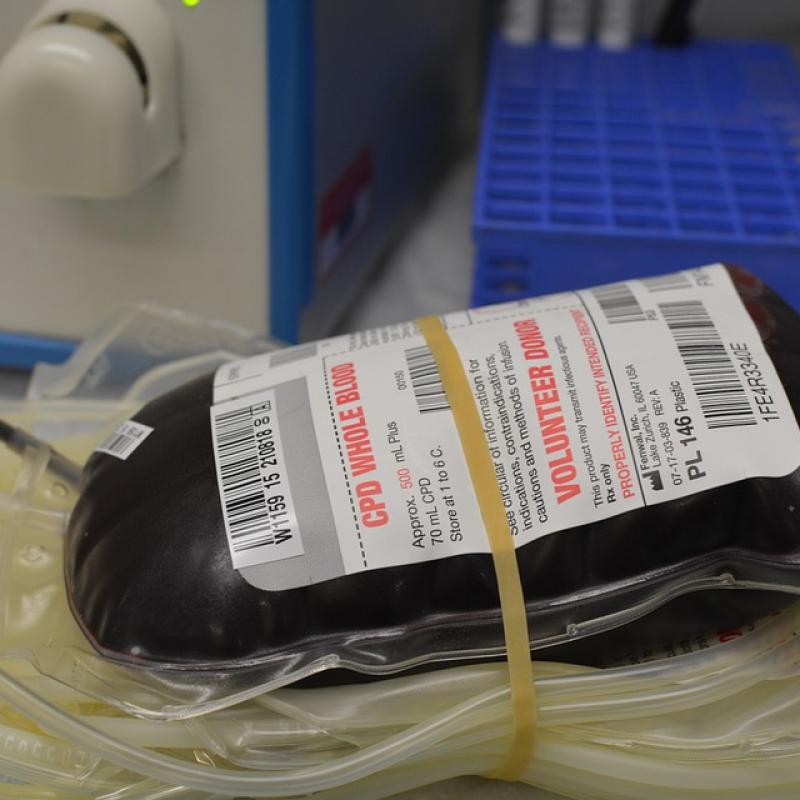 Д-р Бойка Маринова: Като цяло жените са по-склонни да даряват кръв