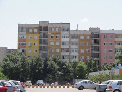Стрелба в Пловдив! Бивш военен простреля с боен пистолет пловдивчанин и две кучета