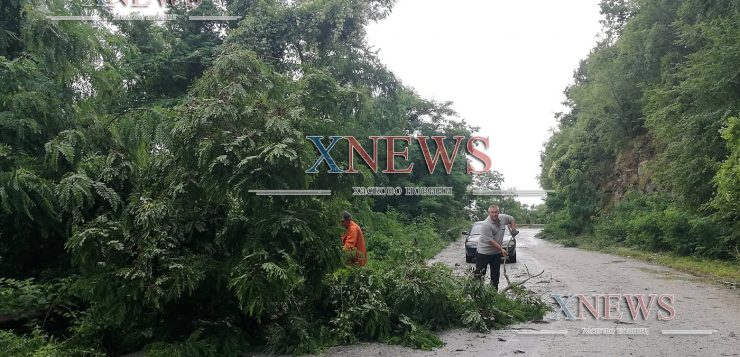 Бурята събори три дървета на пътя за Ивайловград