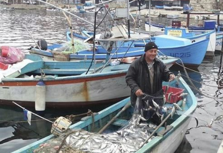Шок! Морето не дава риба за Никулден, риболовците правят празничния курбан със...