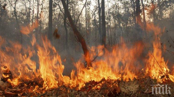 134 пожара са гасени в страната днес