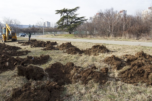 Стара Загора: Засаждат живите коледни дръвчета в града