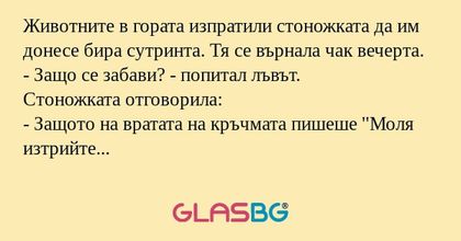 Животните в гората изпратили стоножката...