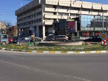 Зацветиха кръговото до Водната палата (СНИМКИ)