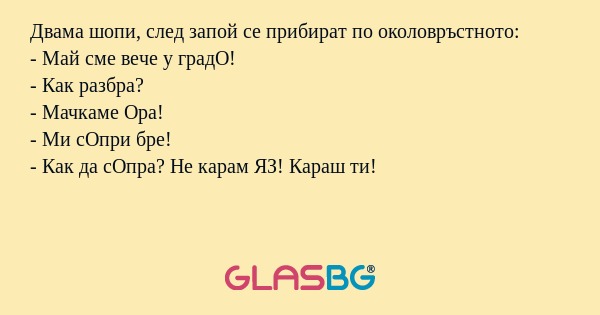 Двама шопи, след запой се прибират...