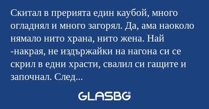 Скитал в прерията един каубой...