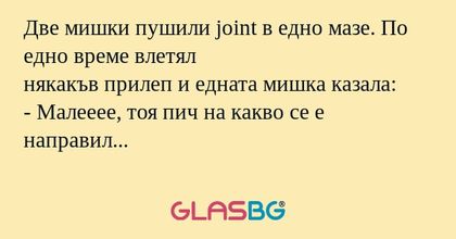 Две мишки пушили joint в едно мазе...