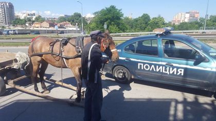 Репатрираха каруца в Пловдив! А коня? (СНИМКИ)