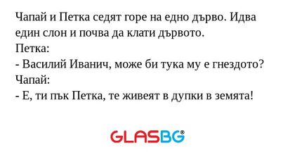 Чапай и Петка седят горе на едно...