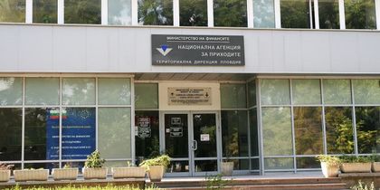 Таванът на НАП в Пловдив се срути върху граждани