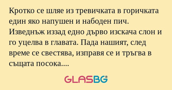 Кротко се шляе из тревичката в...