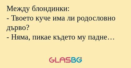 Между блондинки: - Твоето куче...