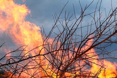Жена от Монтана издъхна от изгаряне, паднала в огън