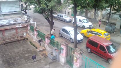 Еко труженици чистят Пловдив от липата СНИМКИ