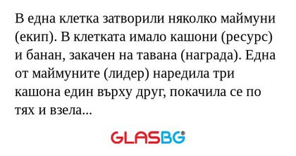 В една клетка затворили няколко...