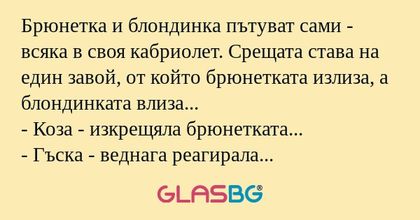 Брюнетка и блондинка пътуват сами...