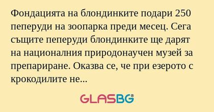 Фондацията на блондинките подари...