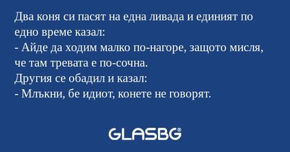 Два коня си пасят на една ливада...