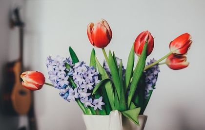 Необичайни употреби на аспирина в домакинството