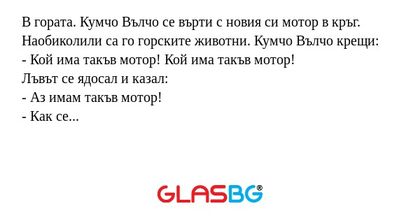 В гората. Кумчо Вълчо се върти...