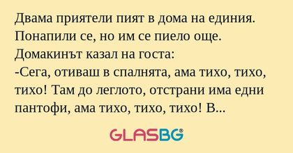 Двама приятели пият в дома на единия...