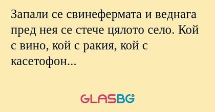Запали се свинефермата и веднага...