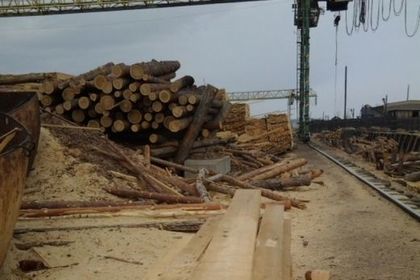Русия дава 2 милиона хектара гори край Байкал на китайци