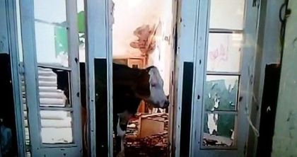 Навръх 24 май! Българско училище първенец се превърнало в обор... (СНИМКА)