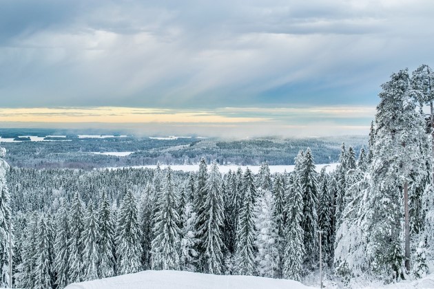 Времето ще бъде слънчево, с максимални температури между 3° и 8°