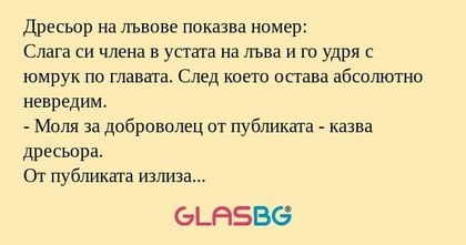 Дресьор на лъвове показва номер...