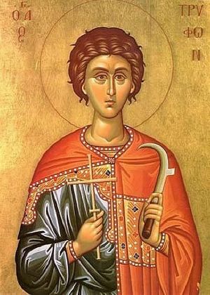 Аделина Стефанова, храм „Въведение Богородично“ - Благоевград : Свети Трифон е роден през 3-ти век в Мала Азия от силно вярващи християни