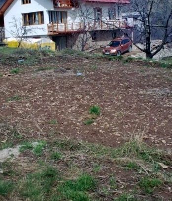 Куриоз: Производителка на картофи осъди авджии - стъпкали й нивата