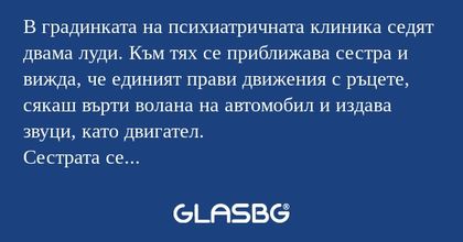 В градинката на психиатричната...