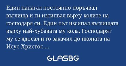 Един папагал постоянно поръчвал...