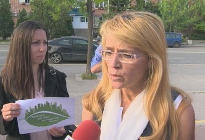 Кметицата на