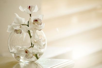 Рецепти срещу неприятелите на орхидеите