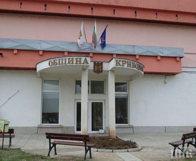 Крадец разби хранителен магазин в Криводол заради цигари и 100 лв
