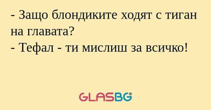 Защо блондиките ходят с тиган...