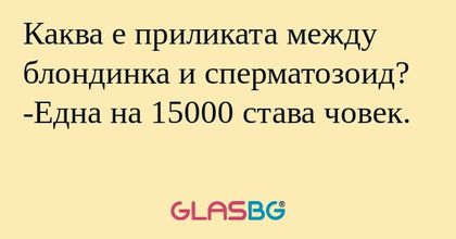 Каква е приликата между блондинка...