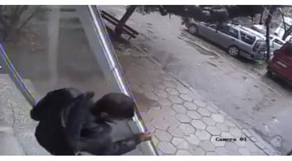 Те не крадат, те си взимат! (ВИДЕО)