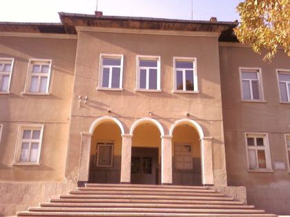 Младок нашамари кмета на Борец след забележка
