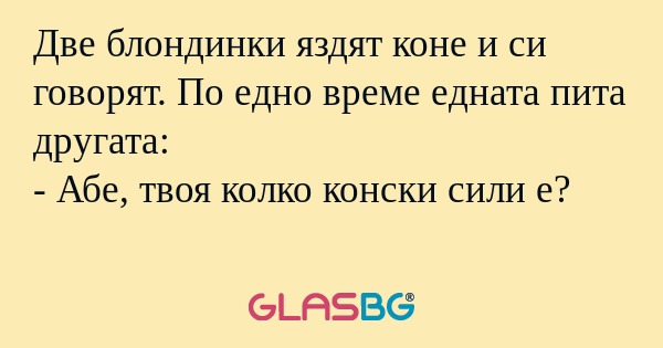 Две блондинки яздят коне и си говорят...